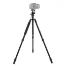 Triopo MT-2504C Adjustable Portable Aluminum Tripod (Gold) with NB-1S Ball Head (Black) for Canon Nikon Sony DSLR Camera