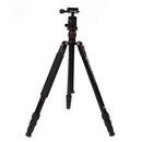 Triopo MT-2504C Adjustable Portable Aluminum Tripod (Gold) with NB-1S Ball Head (Black) for Canon Nikon Sony DSLR Camera