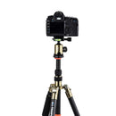 Triopo GT-2505x8.C Adjustable Portable Carbon Fiber Tripod (Gold) with B-1 Aluminum Ball Head (Black) for Canon Nikon Sony DSLR Camera