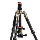 Triopo GT-2505x8.C Adjustable Portable Carbon Fiber Tripod (Gold) with B-1 Aluminum Ball Head (Black) for Canon Nikon Sony DSLR Camera