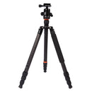 Triopo GT-2804X8.C Adjustable Portable Carbon Fiber Tripod with B-2 Aluminum Ball Head for Canon Nikon Sony DSLR Camera(Black)