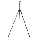 Triopo GT-2804X8.C Adjustable Portable Carbon Fiber Tripod (Gold) with B-2 Aluminum Ball Head (Black) for Canon Nikon Sony DSLR Camera