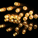 3m String Decoration Light, For Christmas Party, 30 LED, 2-Mode Flash, Battery Powered(Warm White)