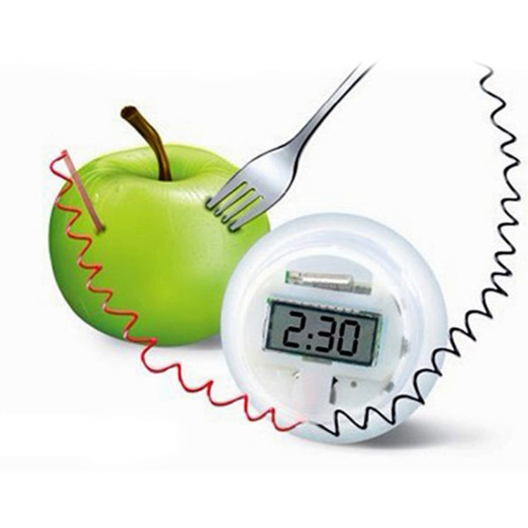 Green Science DIY Natural Materials Enviro Battery Kit