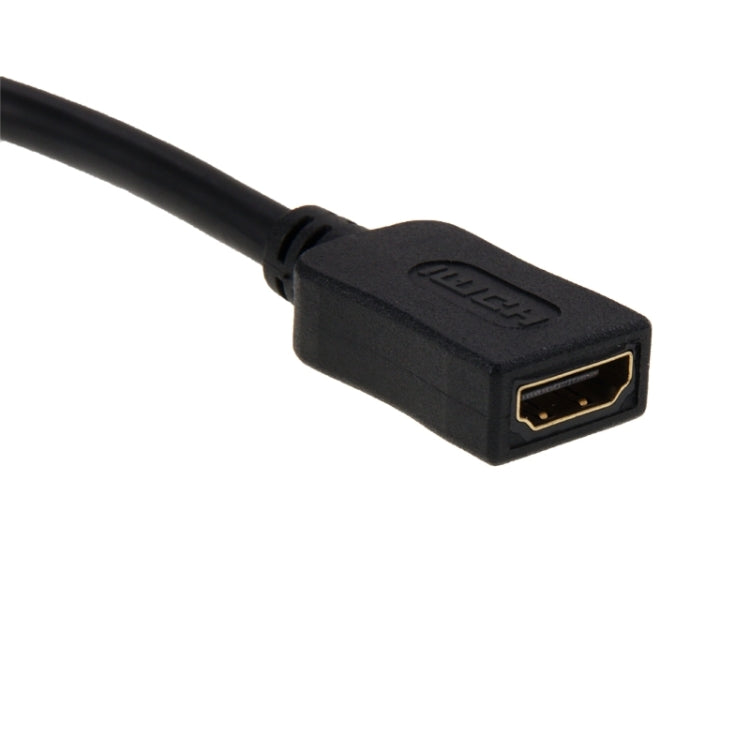 30cm HDMI Female to DVI 24+5 Pin Female Adapater Cable(Black)
