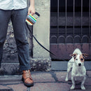 5m Color Strip Style Easy Operation Retractable Flexible Dog Leash