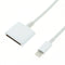 15cm 8 Pin Male to 30 Pin Female Adapter Cable, For iPhone 6 / 6 Plus, 5 / 5S / 5C, iPad mini 1 / 2 / 3, iPad Air, iTouch 5, iPod Nano 7(White)