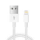 USB to 8 Pin Sync Data Charging Cable, Cable Length: 1m