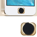 Flex Cable of Home Key for iPhone 5(Black)