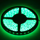 Epoxy Waterproof Rope Light, Length: 5m, 3528 SMD LED, 60 LED/m, DC 12V(Green Light)