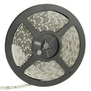 Epoxy Waterproof Rope Light, Length: 5m, 3528 SMD LED, 60 LED/m, DC 12V(Green Light)