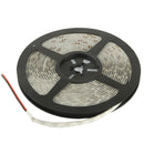 Epoxy Waterproof Rope Light, Length: 5m, 3528 SMD LED, 60 LED/m, DC 12V(Green Light)