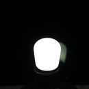 E12 2W Ball Steep Light Bulb, 100LM, 6000-6500K White Light, AC 100-240V