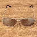 UV400 UV Protection Metal Frame AC Lens Frog Mirror Eyeglasses Sunglasses