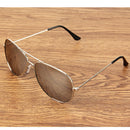 UV400 UV Protection Metal Frame AC Lens Frog Mirror Eyeglasses Sunglasses