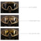Desert Locust Ballistic Goggles (3pcs Protection Divided Lens in one packaging, the price is for 3 pcs), Khaki