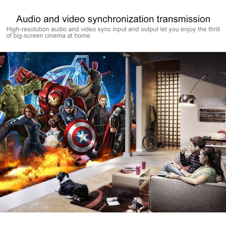 NF-F001 3G SDI to AV + SDI Scaler Converter, Allow SD-SDI / HD-SDI / 3G-SDI Shown on HDTV