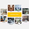 1/3 SONY Color CCD Camera(White)