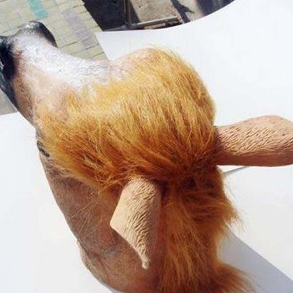 Creepy Horse Head Latex Mask Face Rubber Mask for Halloween Festival