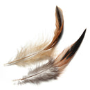 100pcs Fluffy Fashion Rooster Feather Craft DIY 6-8