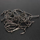 ZANLURE 500pcs 10 Sizes Freshwater Sea Fly Fishing Tackle Hooks With Box