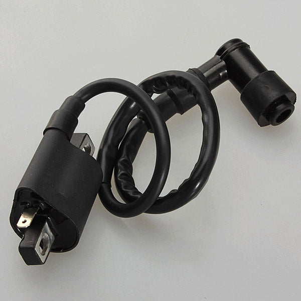Ignition Coil for Chinese 50cc-125cc ATV Quad Dirt Bike Motorcycle