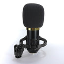 BM700 Condenser Microphone Dynamic Recording with Shock Mount