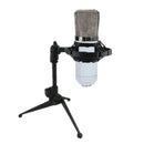 BM700 Condenser Microphone Dynamic Recording with Shock Mount