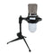 BM700 Condenser Microphone Dynamic Recording with Shock Mount