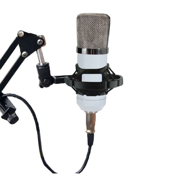 BM700 Condenser Microphone Dynamic Recording with Shock Mount