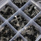 Geekcreit 600 Pcs 15 Value x 40 Pcs Transistor TO-92 Assortment Box Kit With Box
