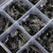 Geekcreit 600 Pcs 15 Value x 40 Pcs Transistor TO-92 Assortment Box Kit With Box