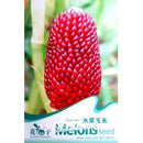 Egrow 10 pcs Garden Fruit Seeds Red Fruit Corn Seeds Bonsai Planting