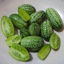 Egrow 10Pcs Super Mini Watermelon Seeds Thumb Watermelon Delicious Fruit Seeds