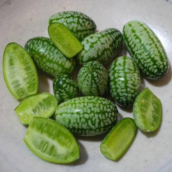 Egrow 10Pcs Super Mini Watermelon Seeds Thumb Watermelon Delicious Fruit Seeds