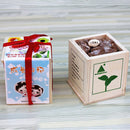 Wooden Mini Bonsai Magic Bean Seed Desktop Bonsai Plants