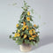 10PCS Black Eyed Susan Vine Thunbergia Alata Seeds