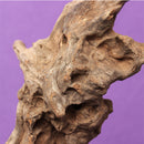Driftwood Root log Stump cuckoo root Aquarium Decoration