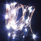 Warm White/Pure White 2M 20LED Copper Wire LED String Lights Lamp 5V