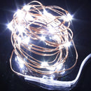 Warm White/Pure White 2M 20LED Copper Wire LED String Lights Lamp 5V
