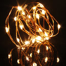 Warm White/Pure White 2M 20LED Copper Wire LED String Lights Lamp 5V