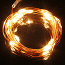 Warm White/Pure White 2M 20LED Copper Wire LED String Lights Lamp 5V