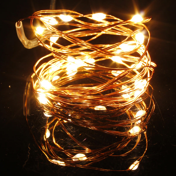 Warm White/Pure White 2M 20LED Copper Wire LED String Lights Lamp 5V