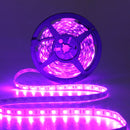 3X 5M RGB 5050 SMD Non-waterproof 300 LED Lights Strip DC 12V