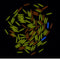 1pcs 1.5x6mm Trit Vials Tritium Multicolor Self-luminous 15-Years