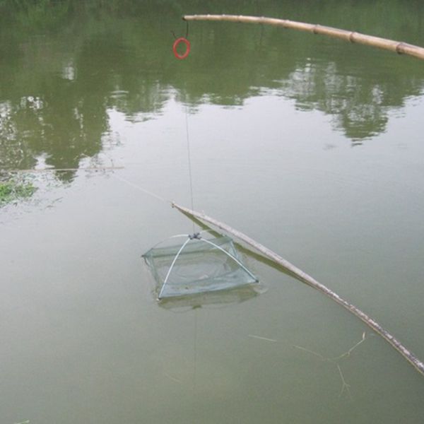Foldable Fishing Trap Baits Cast Crab Minnow Crawdad Shrimp Dip Net