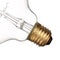Incandescent Bulb E27 40W 220V G125 Globe Retro Edison Light Bulb