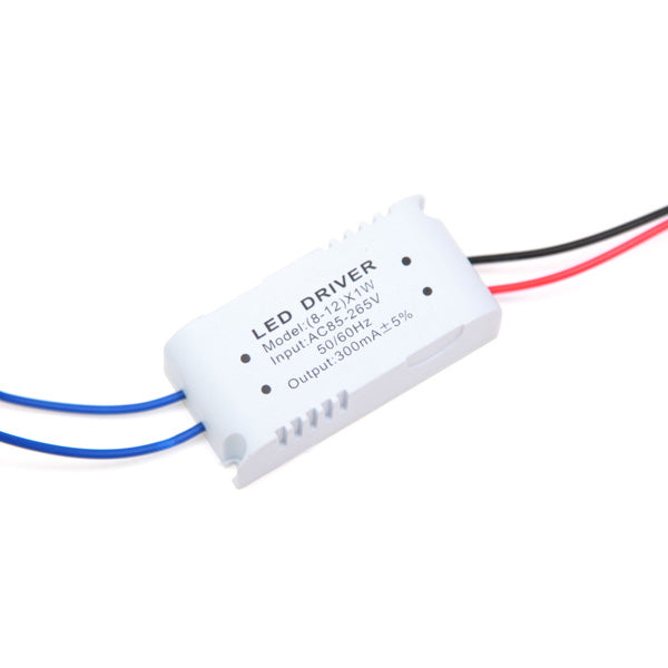 12W LED Down Light Ceiling Recessed Lamp 85-265V + Driver
