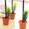 Lovely Green Plants Potted Shape Ballpoint Ball Pen