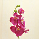 1pcs Artificial Silk Butterfly Orchid Flowers Wedding Home Decorations